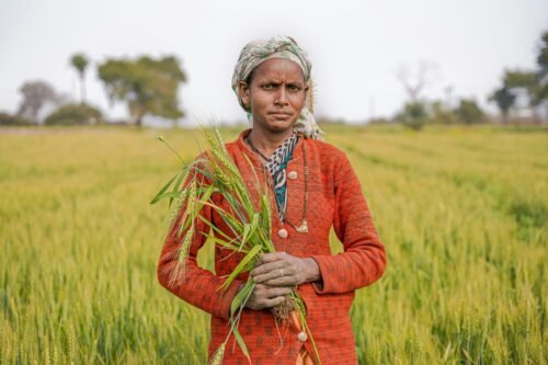 Agri Products